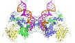 the structure of integrase bound to viral DNA. Credit: Imperial College London